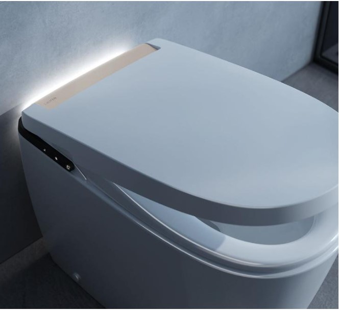 Smart WC